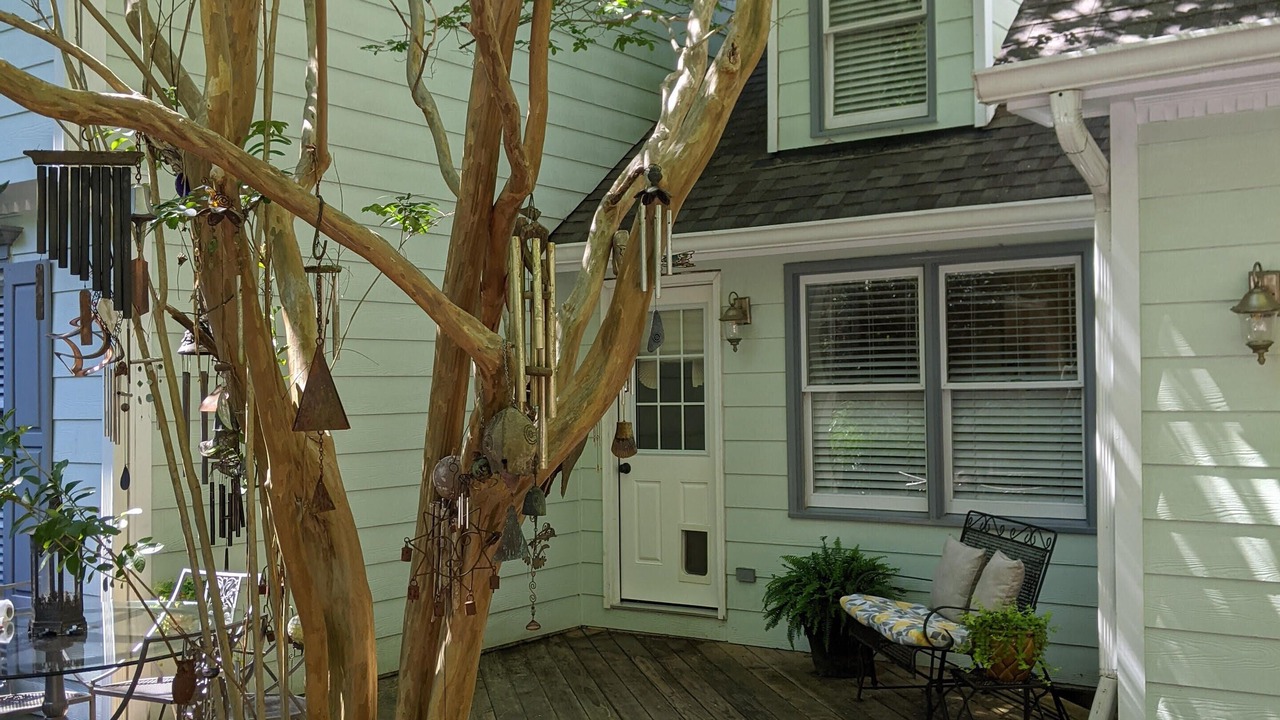 Photo of Outdoor in Northwest Raleigh