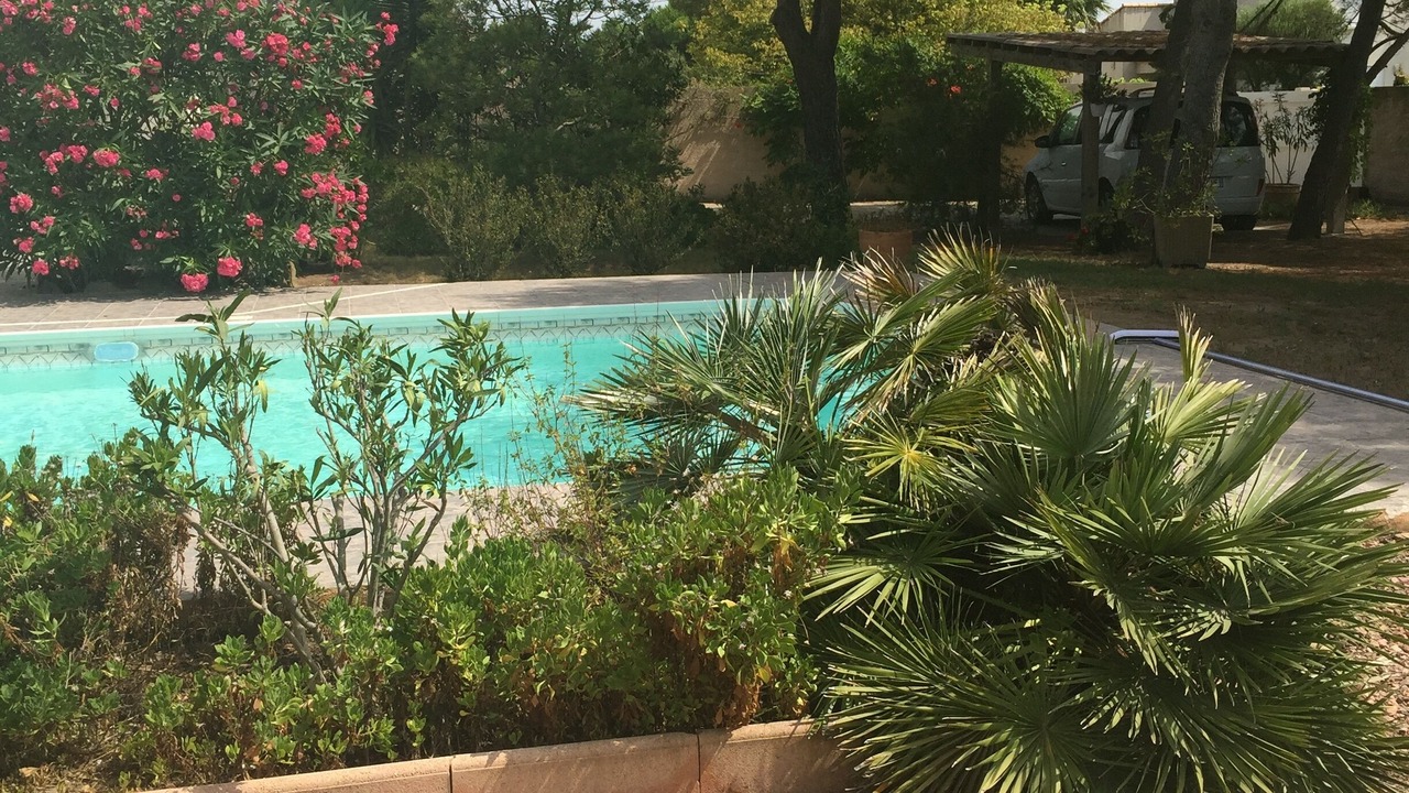 Photo of Outdoor in Le Grau-dʼAgde