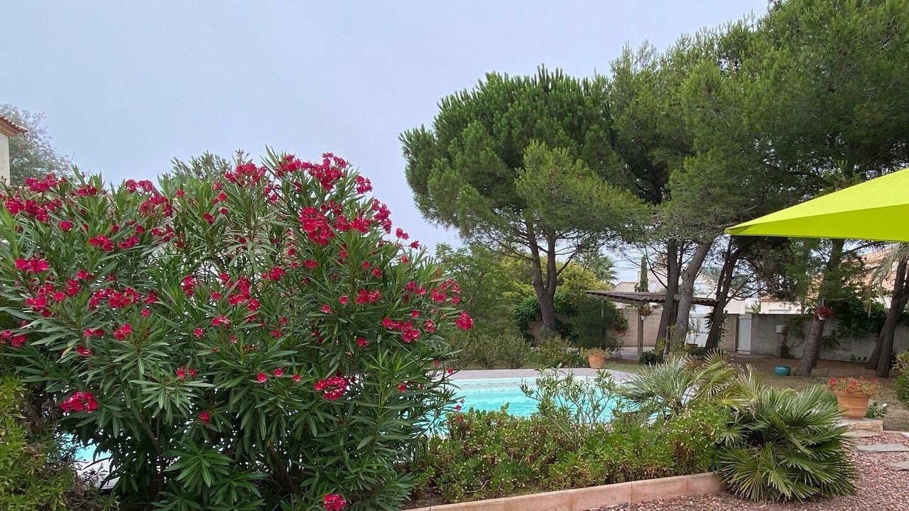 Photo of Outdoor in Le Grau-dʼAgde
