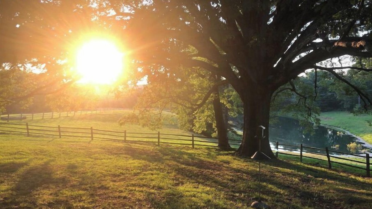 Photo of Outdoor in Valley Head