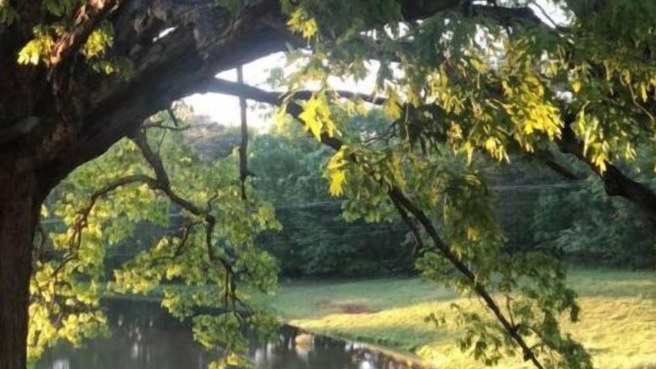 Photo of Outdoor in Valley Head