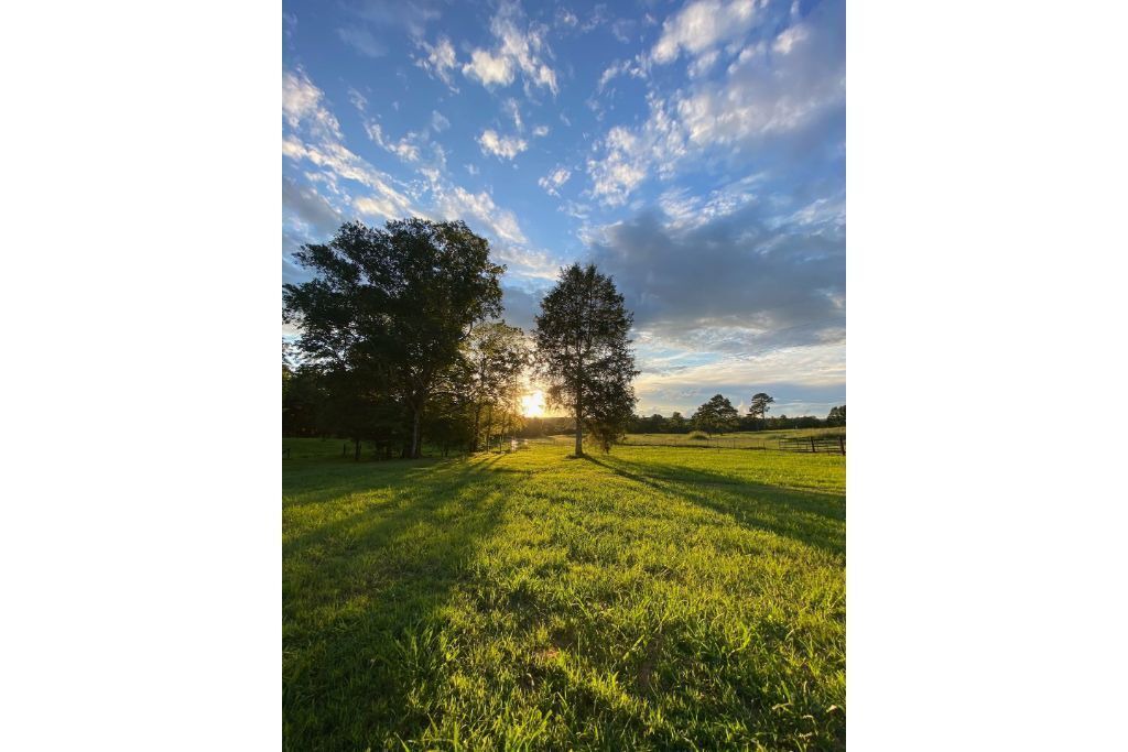 Photo of Outdoor in Valley Head