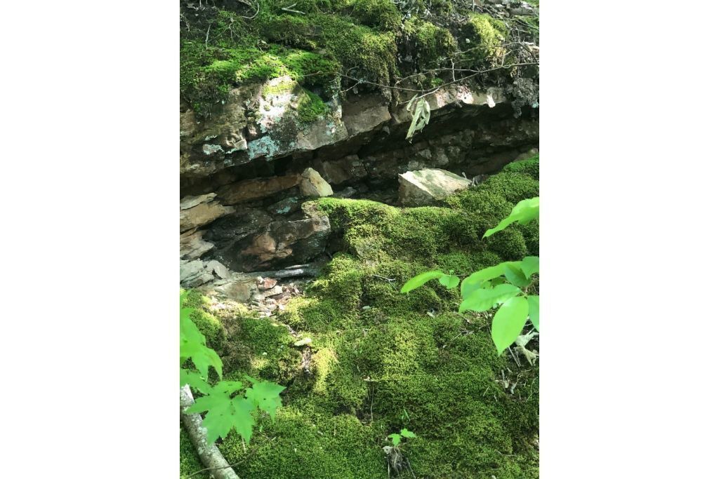 Photo of Outdoor in Valley Head