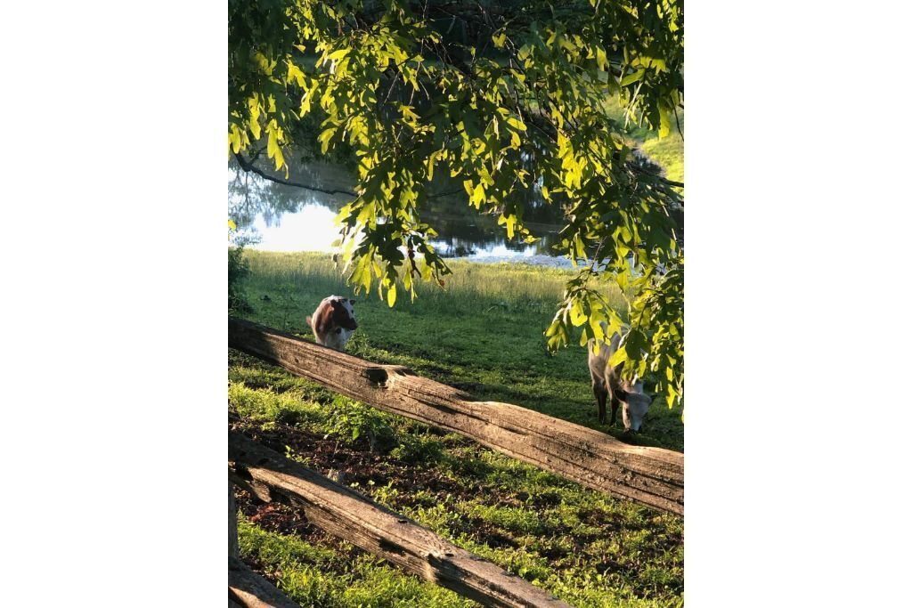 Photo of Outdoor in Valley Head