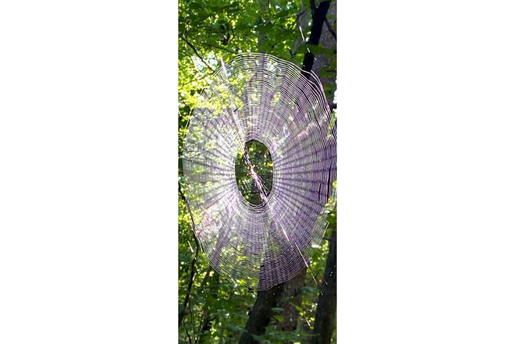 Photo of Others in Valley Head