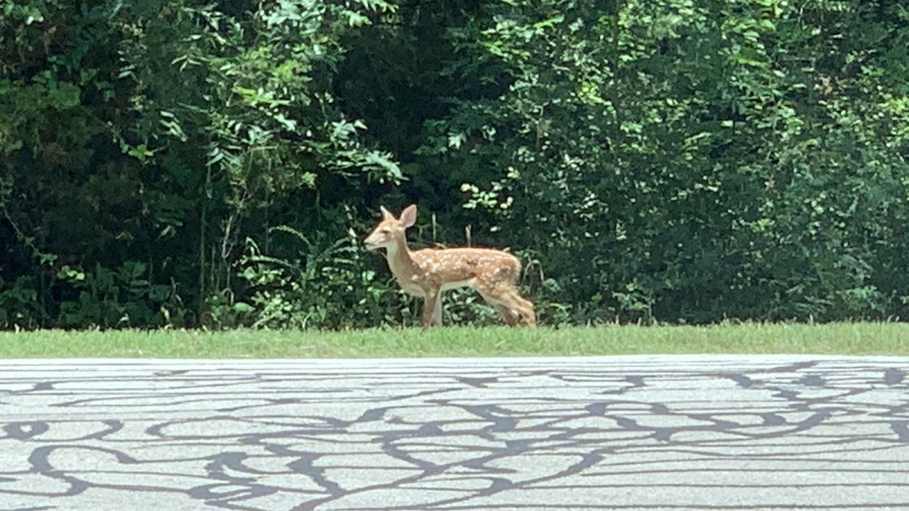 Photo of Outdoor in Oak Point
