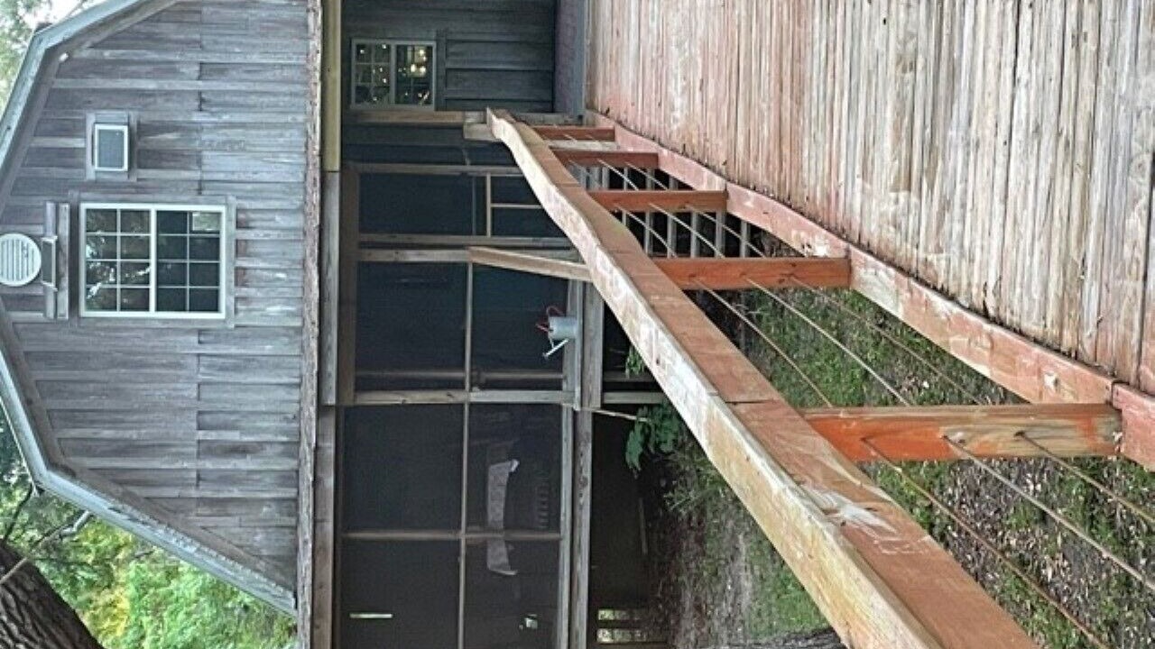 Photo of Outdoor in Steinhatchee