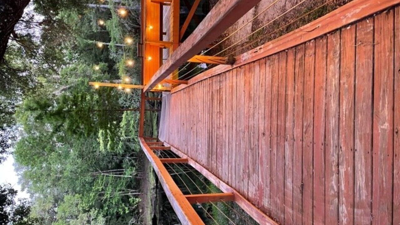 Photo of Outdoor in Steinhatchee