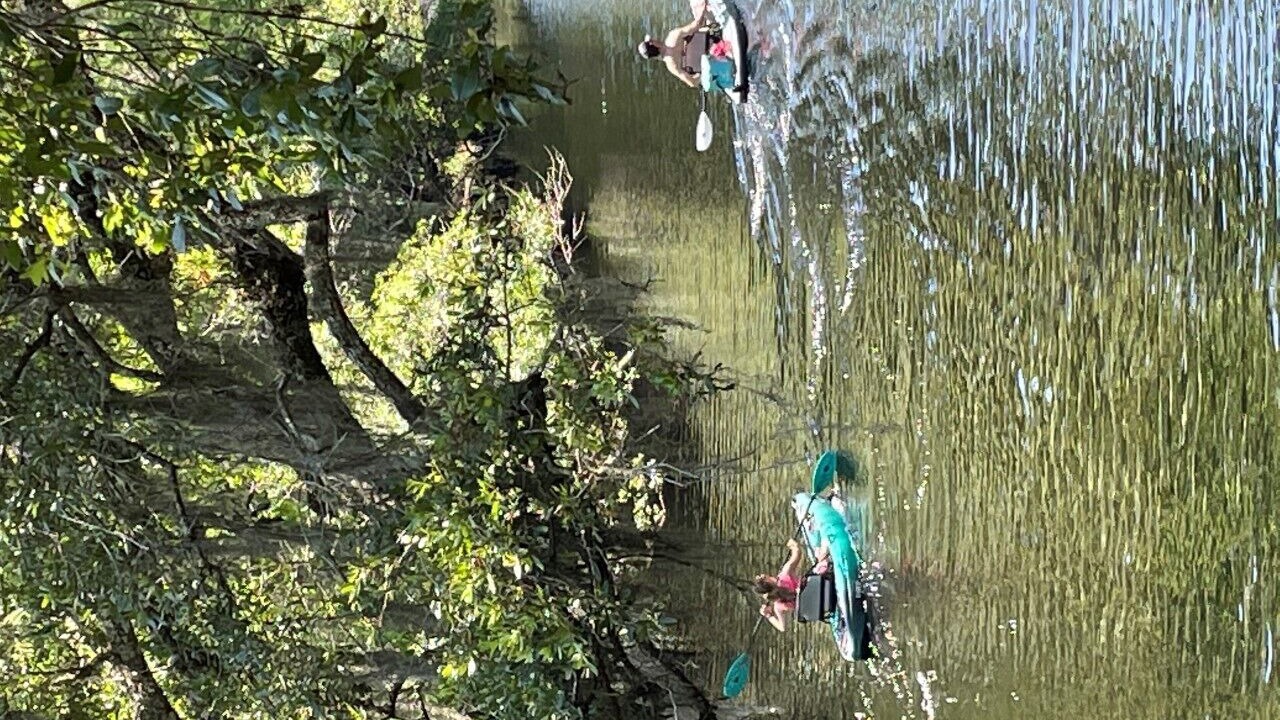 Photo of Others in Steinhatchee