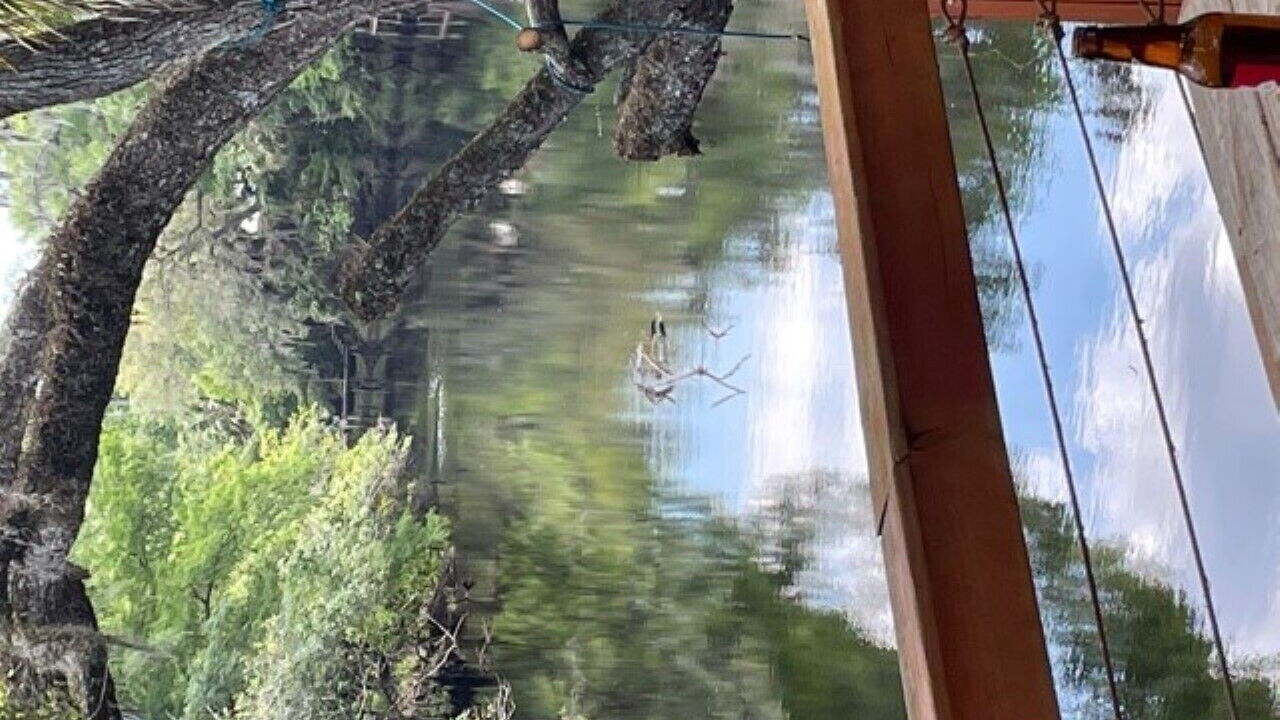 Photo of Outdoor in Steinhatchee