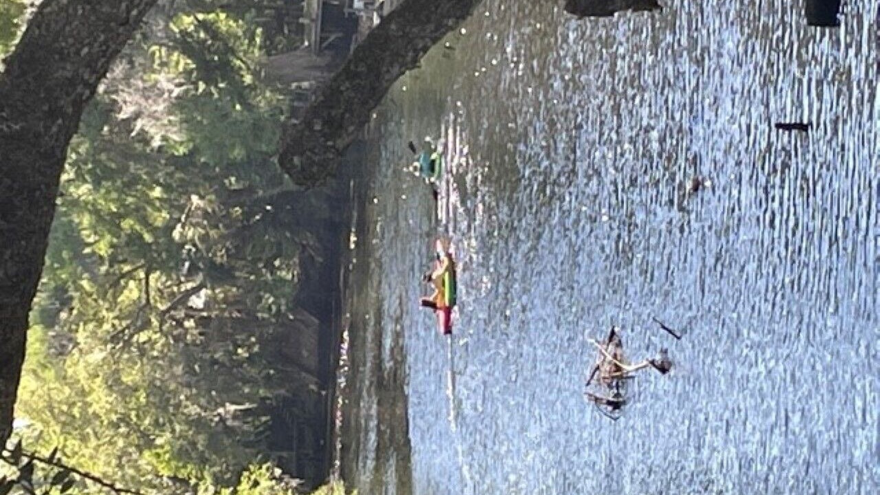 Photo of Outdoor in Steinhatchee