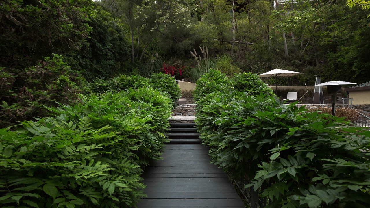 Photo of Outdoor in Beverly Glen