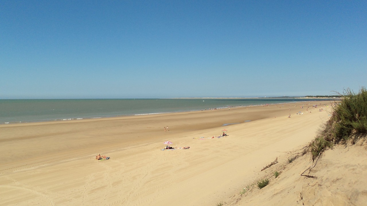 Photo of Others in Saint-Georges-d'Oleron