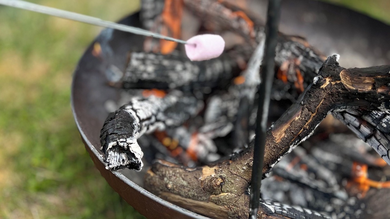 Photo of Others in Landunvez
