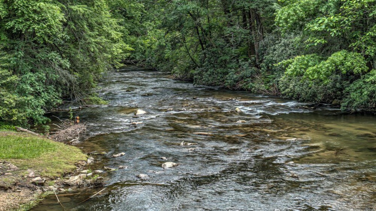 Photo of Outdoor in Cashes Valley