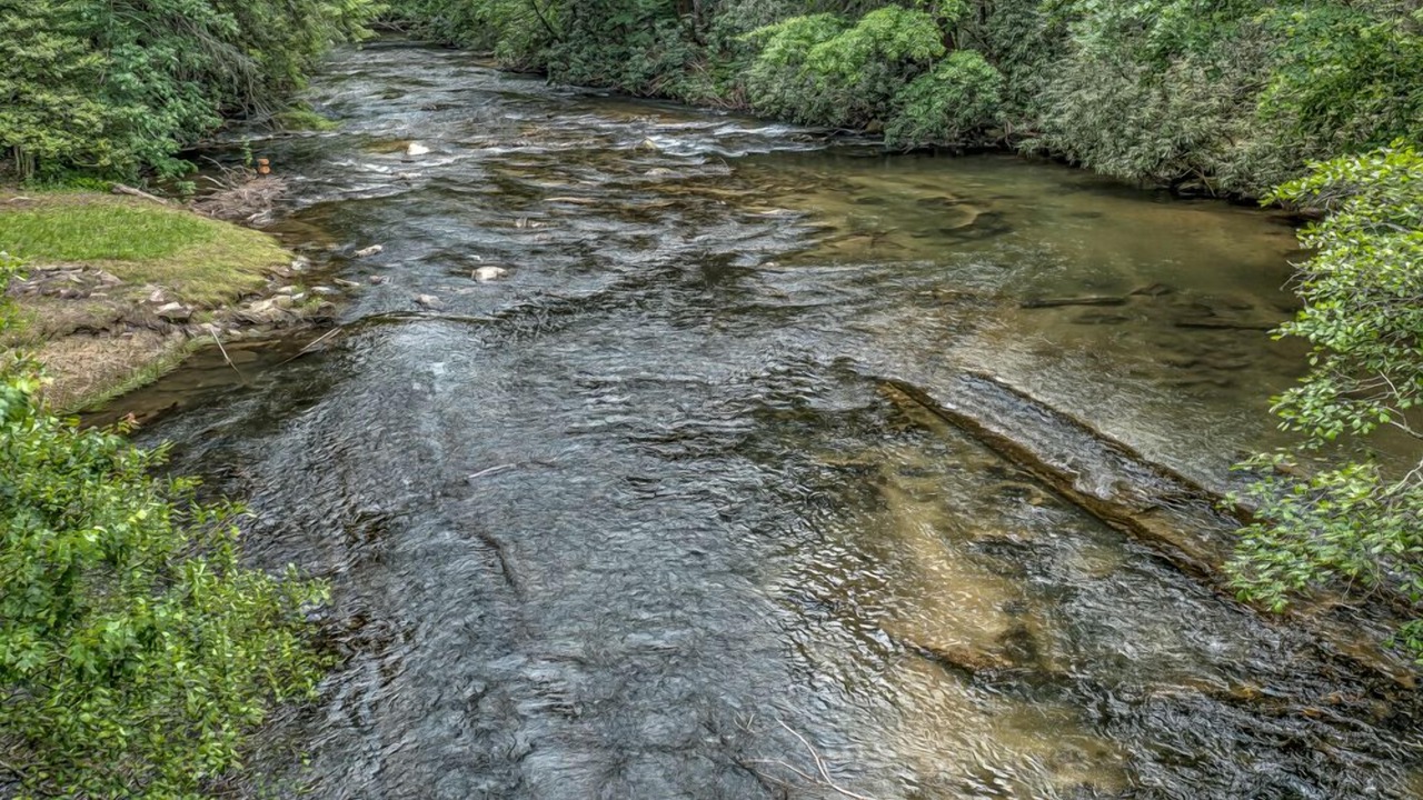 Photo of Others in Cashes Valley