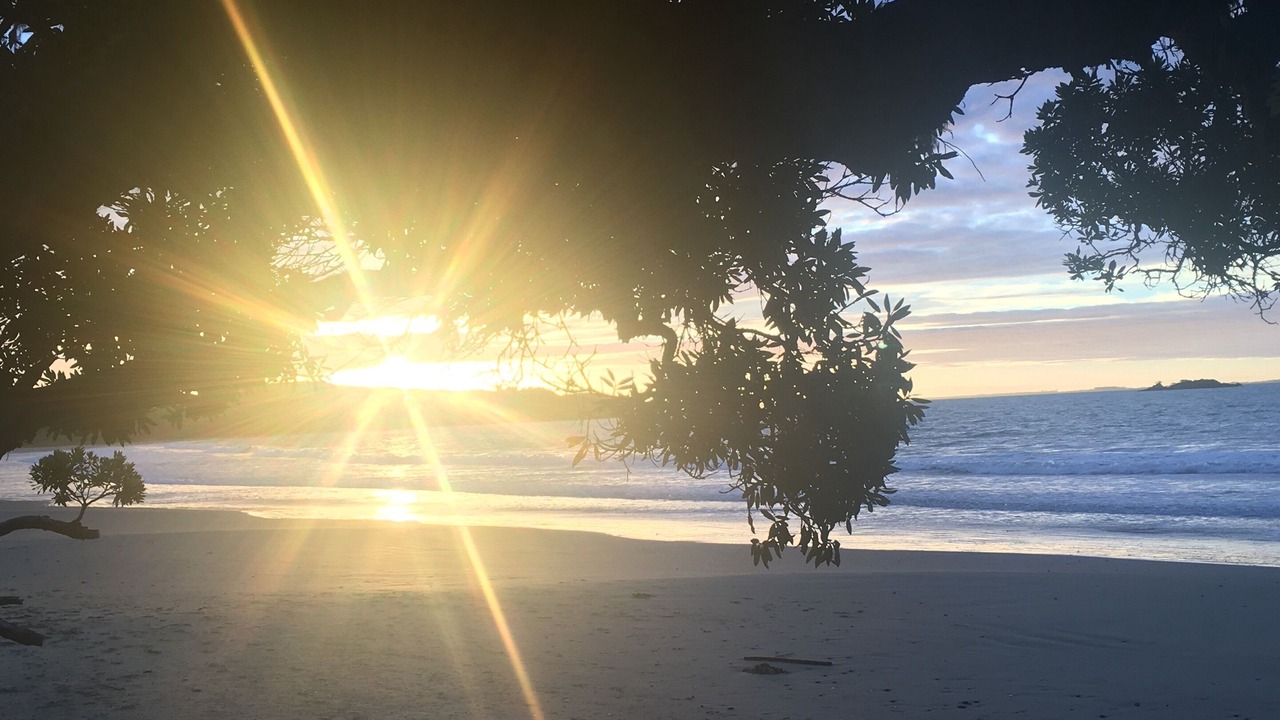 Photo of Others in Coopers Beach