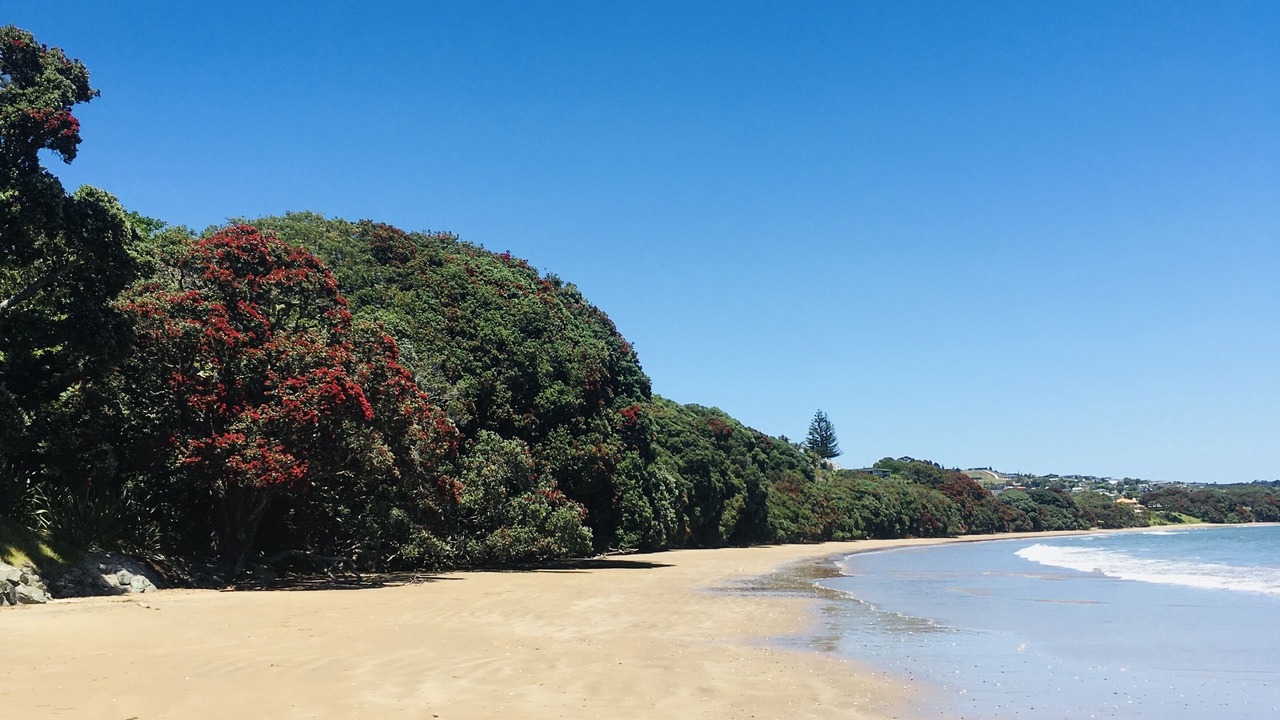 Photo of Others in Coopers Beach