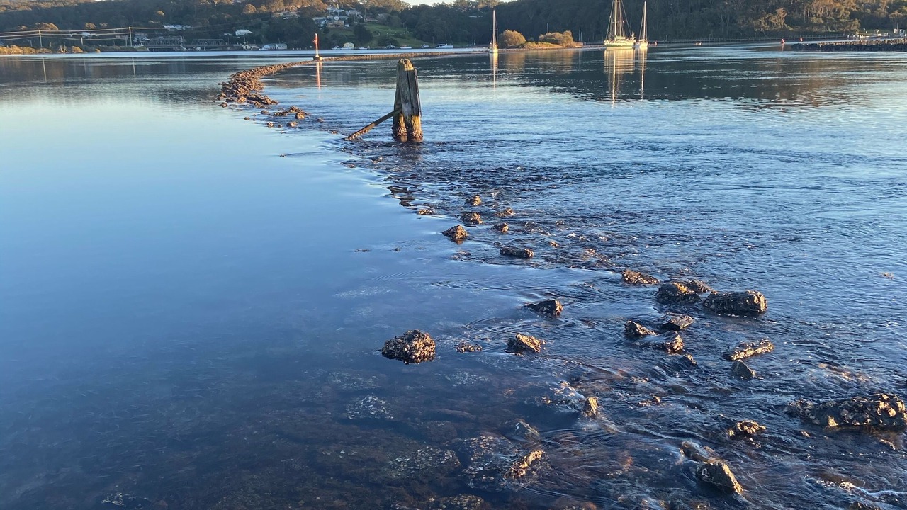 Photo of Others in North Narooma