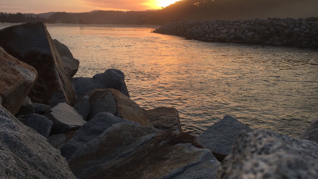 Photo of Others in North Narooma