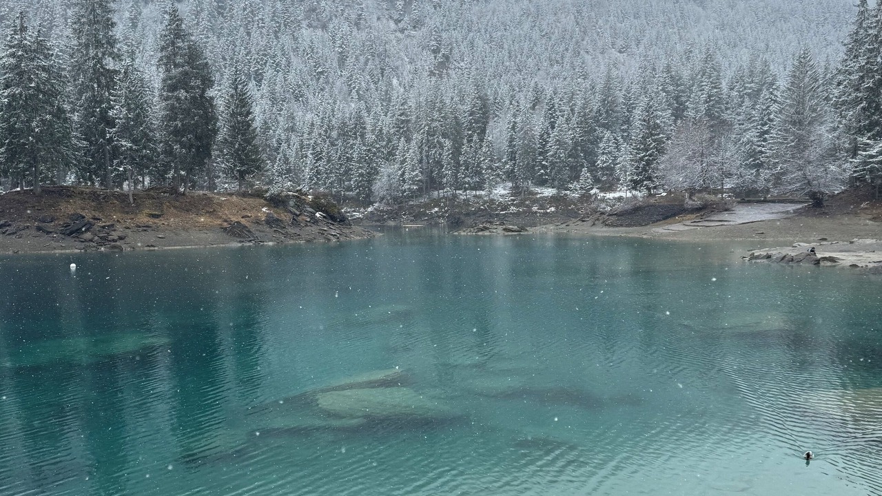 Photo of Others in Laax