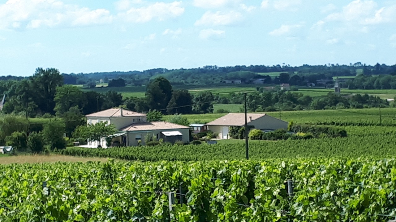 Photo of Outdoor in Pugnac