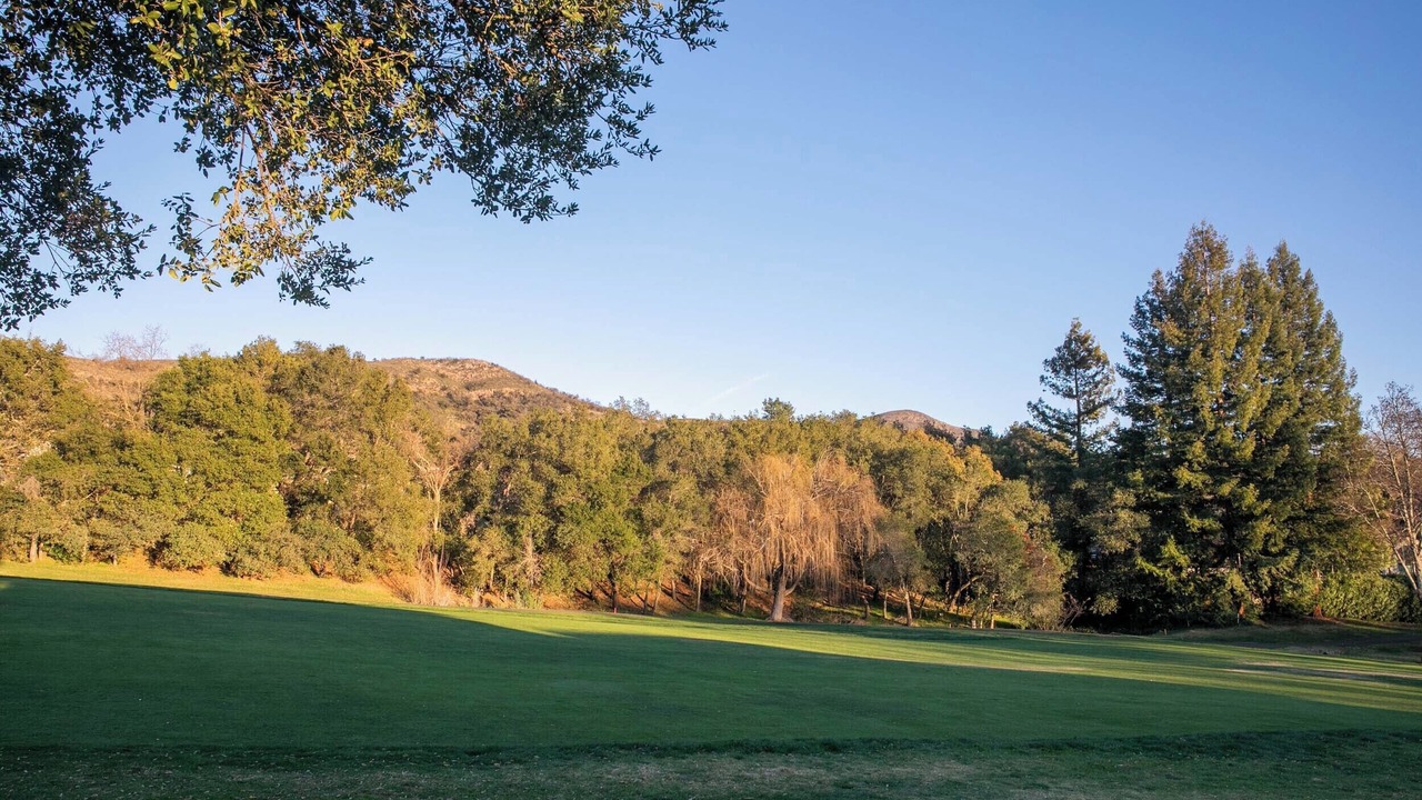 Photo of Others in Napa