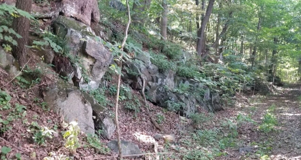 Photo of Outdoor in Darlington