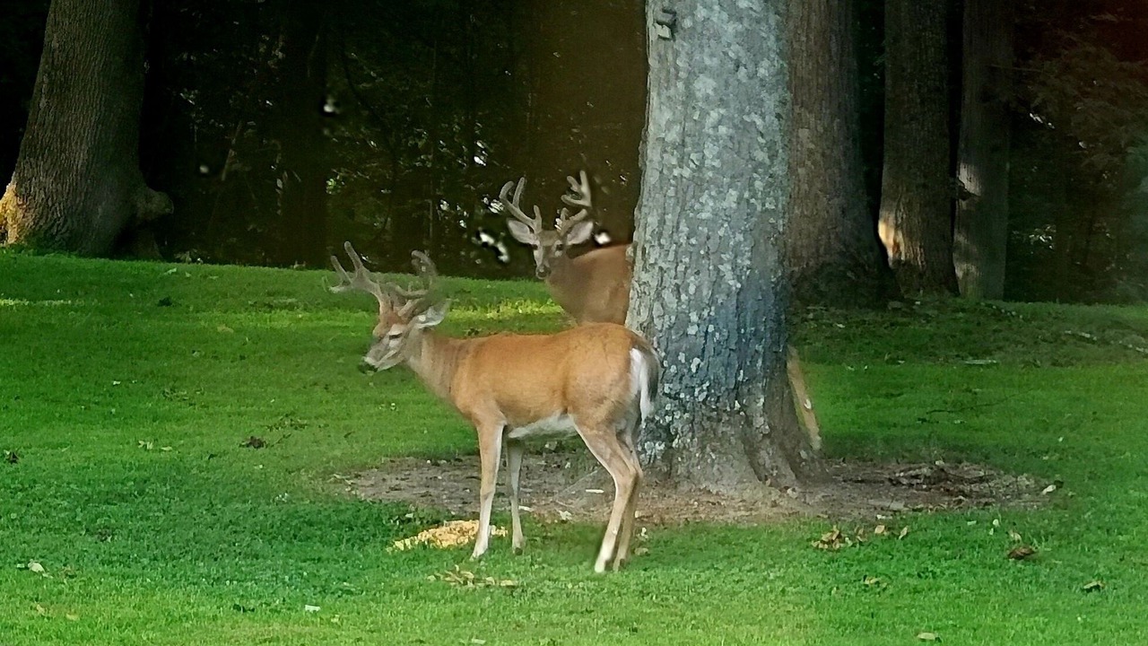 Photo of Others in Darlington