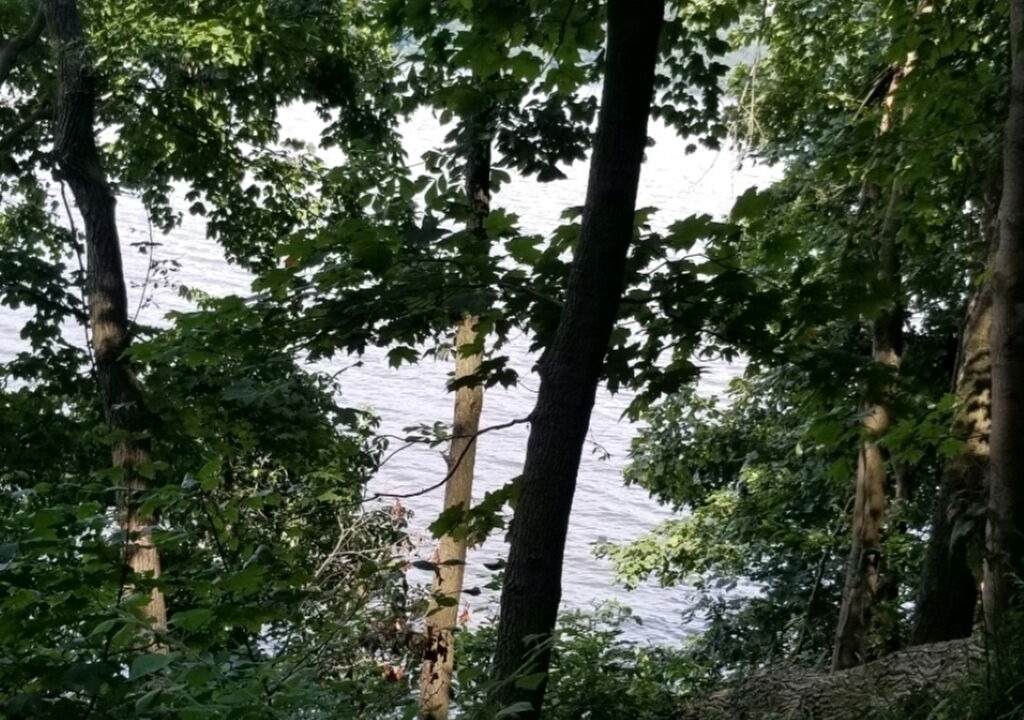 Photo of Outdoor in Darlington