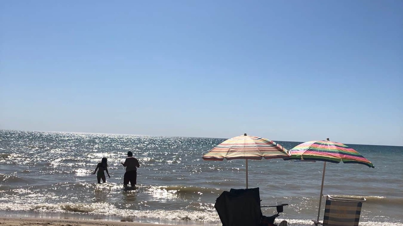 Photo of Others in Glenn Haven Shores