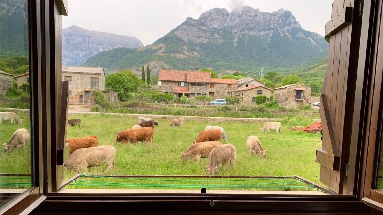 Photo of Others in Laspuna