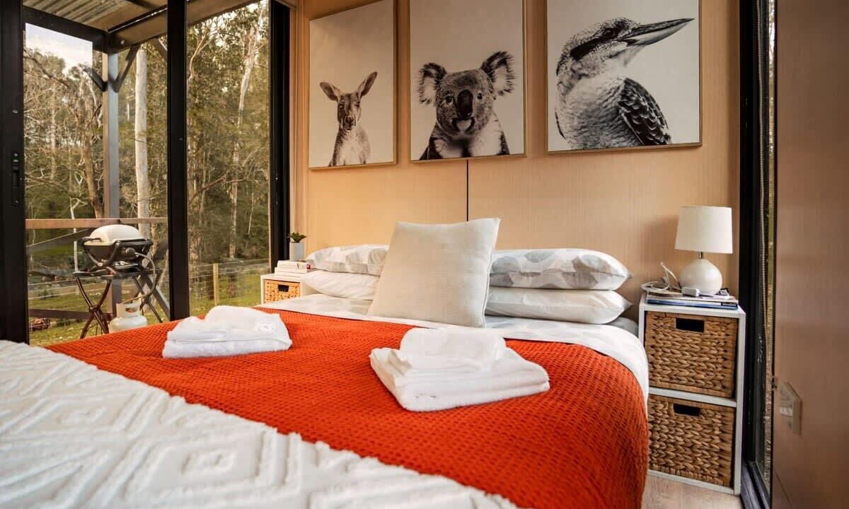 Photo of Others in Bowman