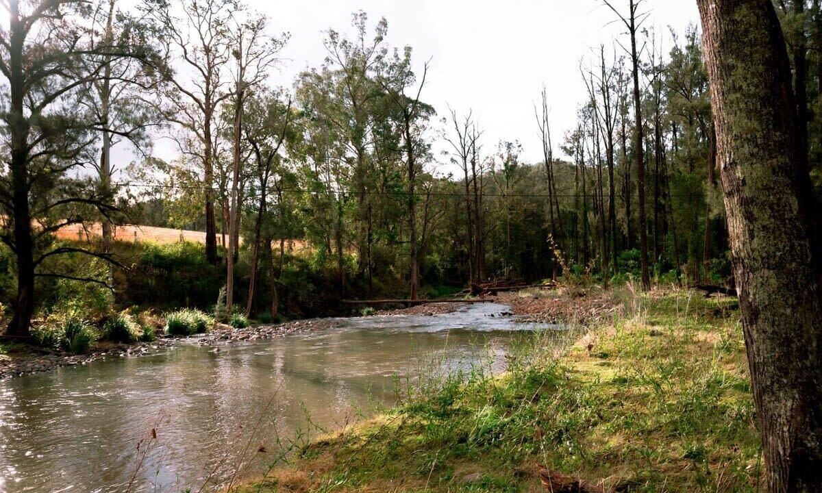 Photo of Others in Bowman