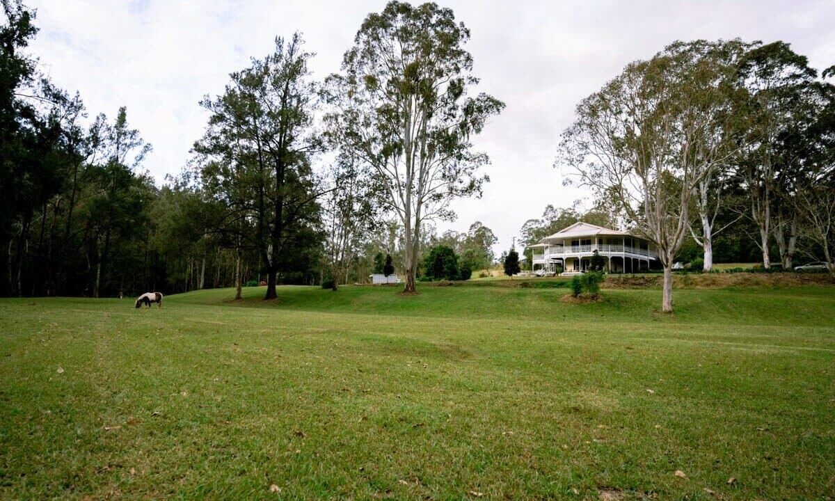 Photo of Others in Bowman