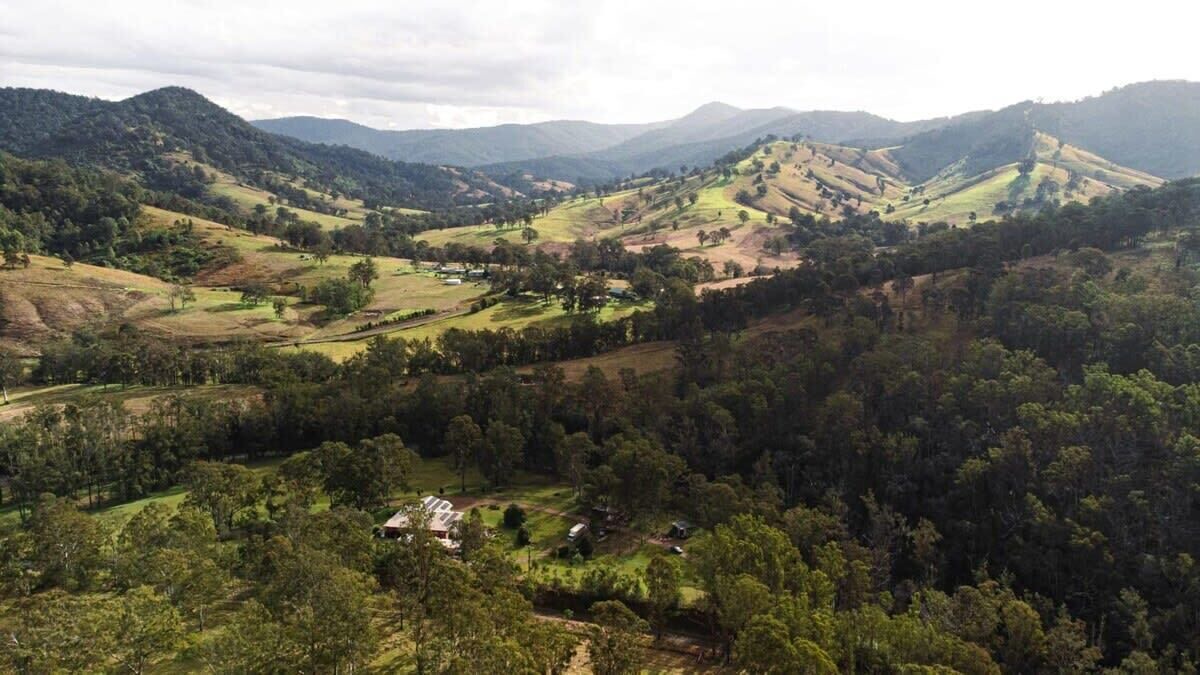 Photo of Others in Bowman