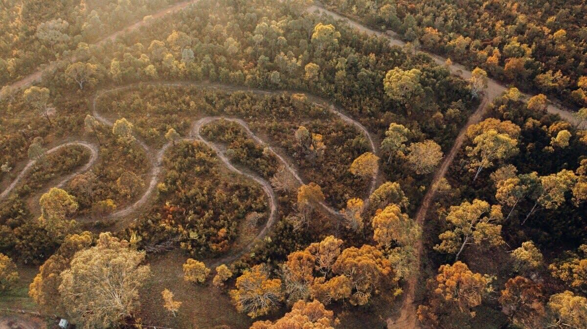 Photo of Outdoor in Cessnock