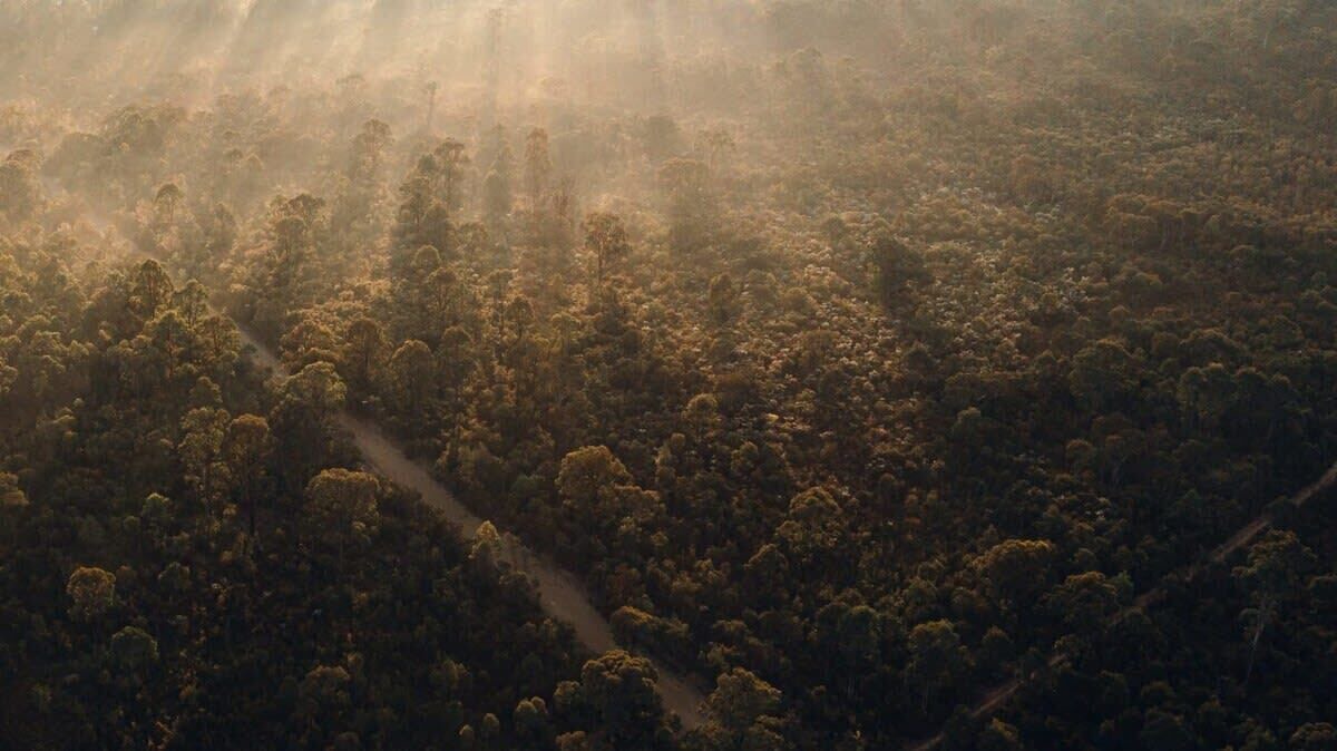 Photo of Outdoor in Cessnock