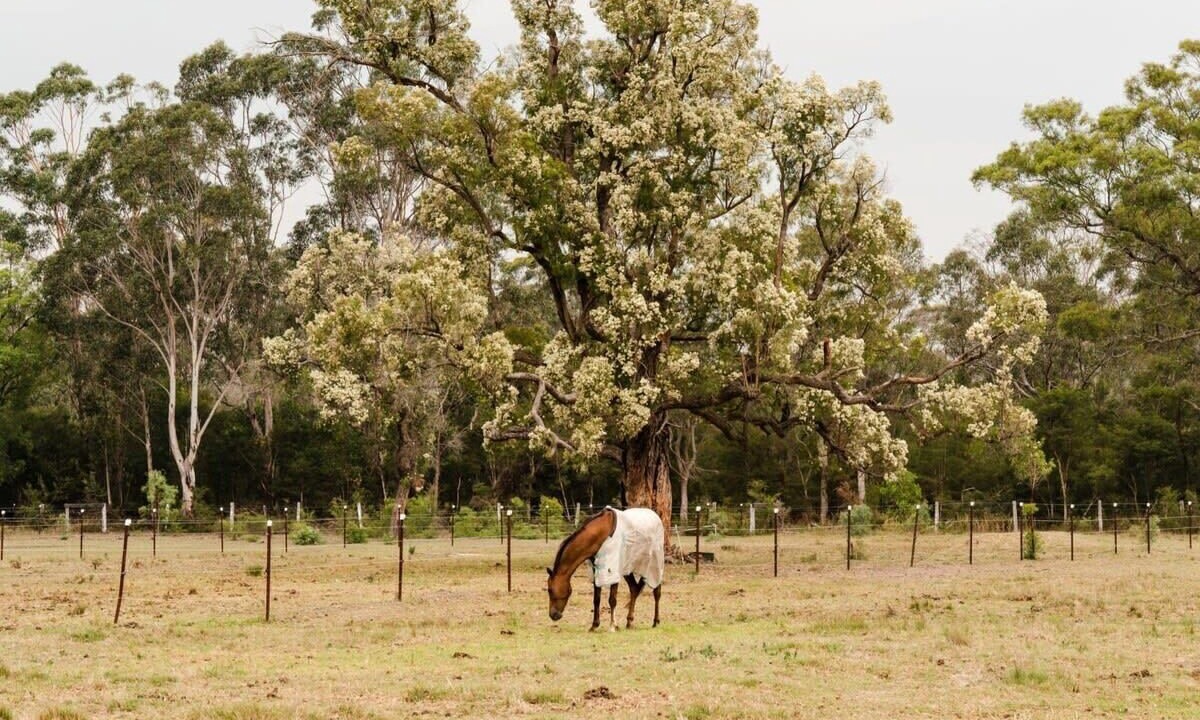 Photo of Others in Cessnock