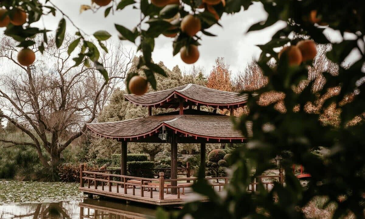 Photo of Outdoor in Cessnock