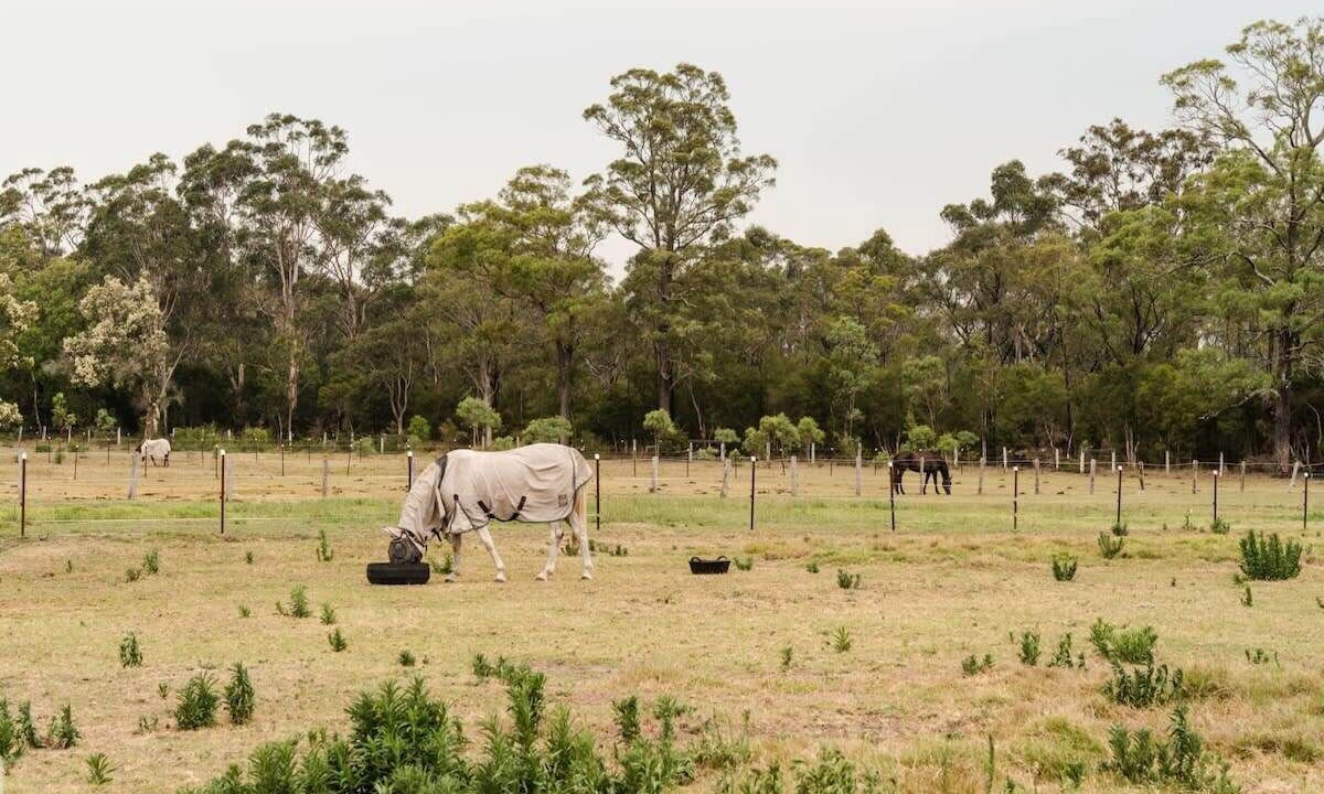 Photo of Others in Cessnock