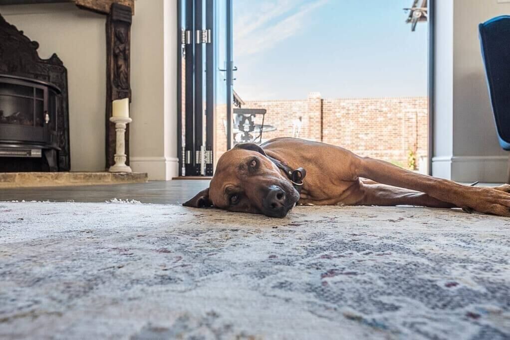 Photo of Others in Ipswich