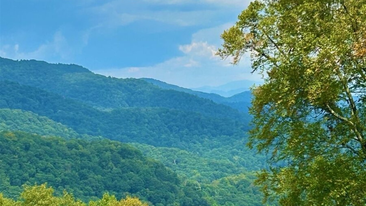 Photo of Others in Asheville