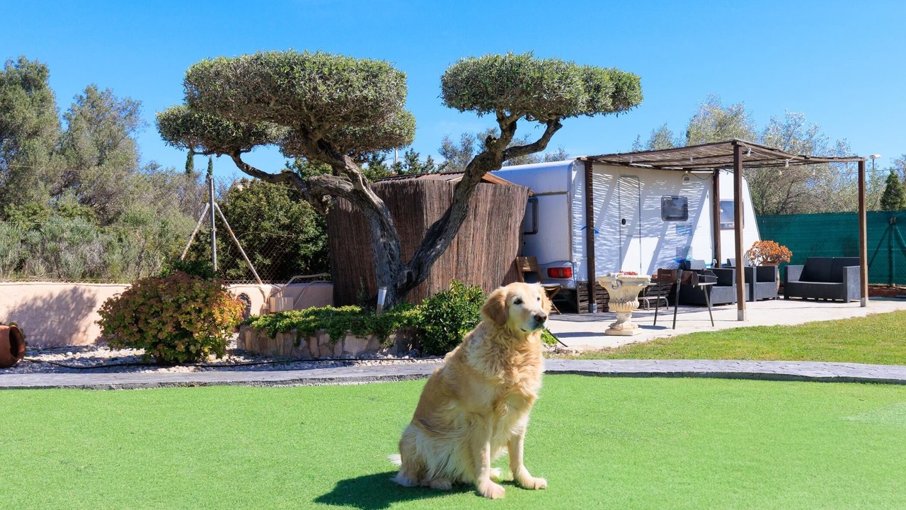 Photo of Outdoor in Costa Dorada