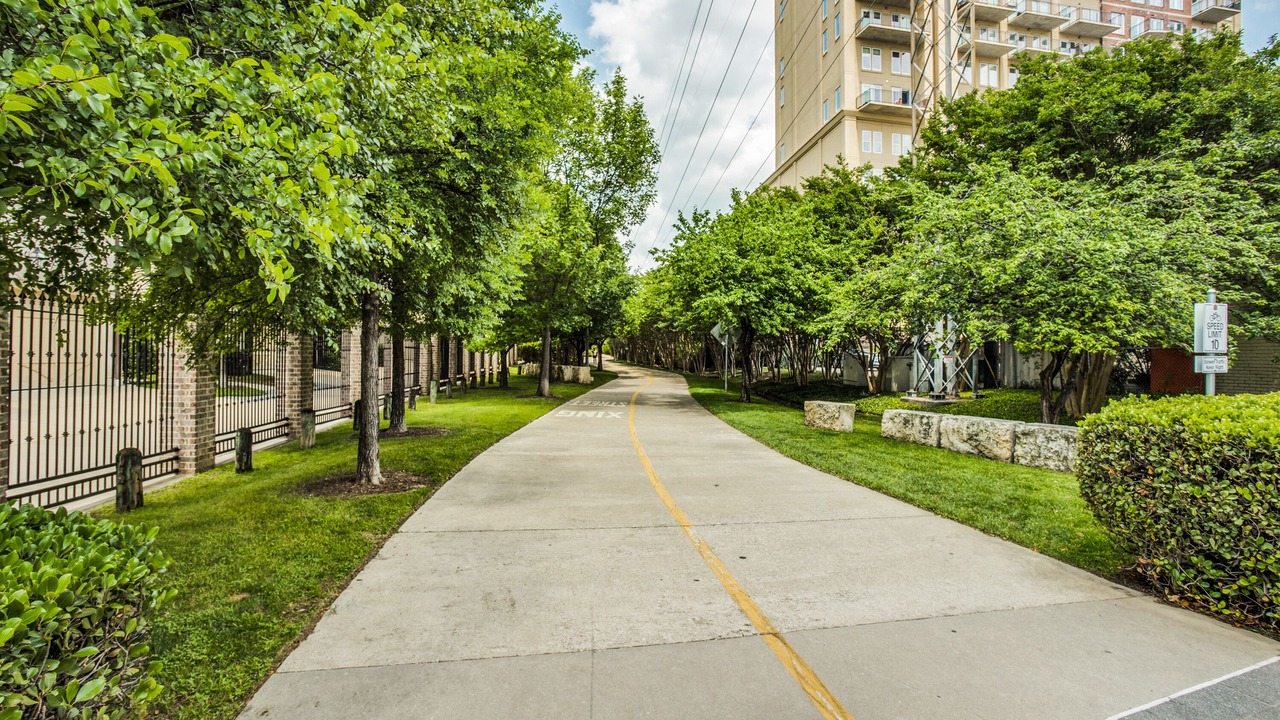 Photo of Outdoor in Oak Lawn