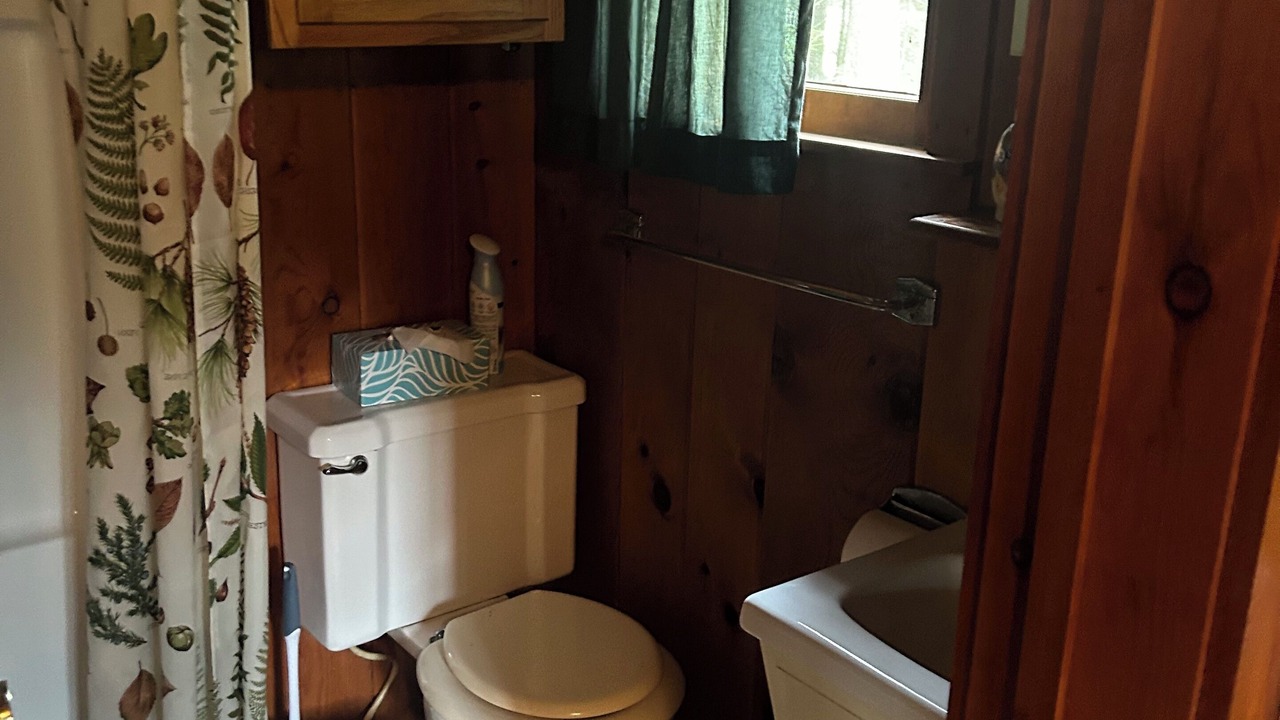 Photo of Bathroom in Onaway