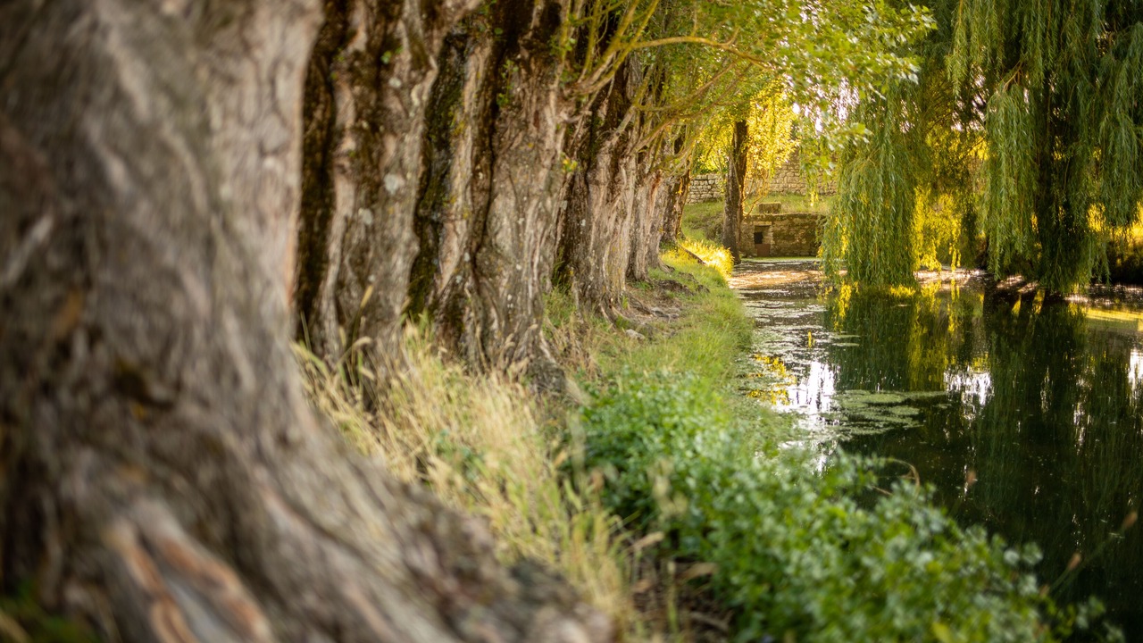 Photo of Outdoor in Saint-Just-Luzac