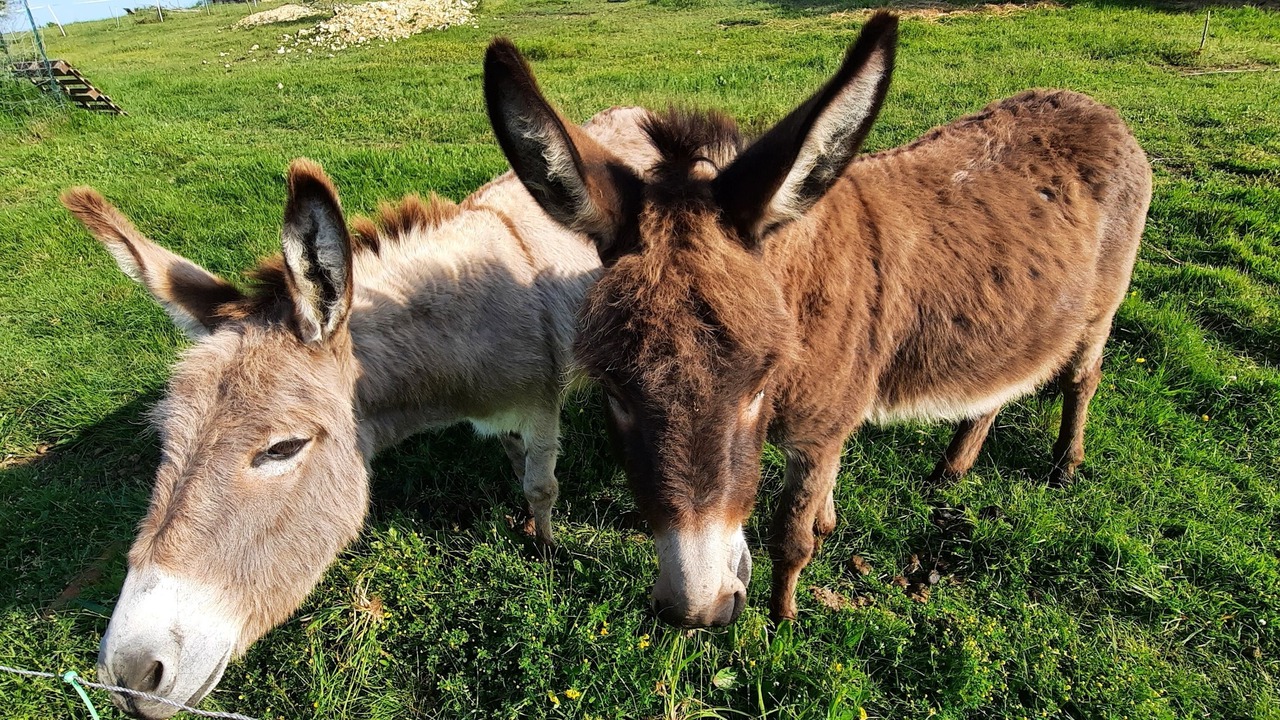 Photo of Outdoor in La Clotte