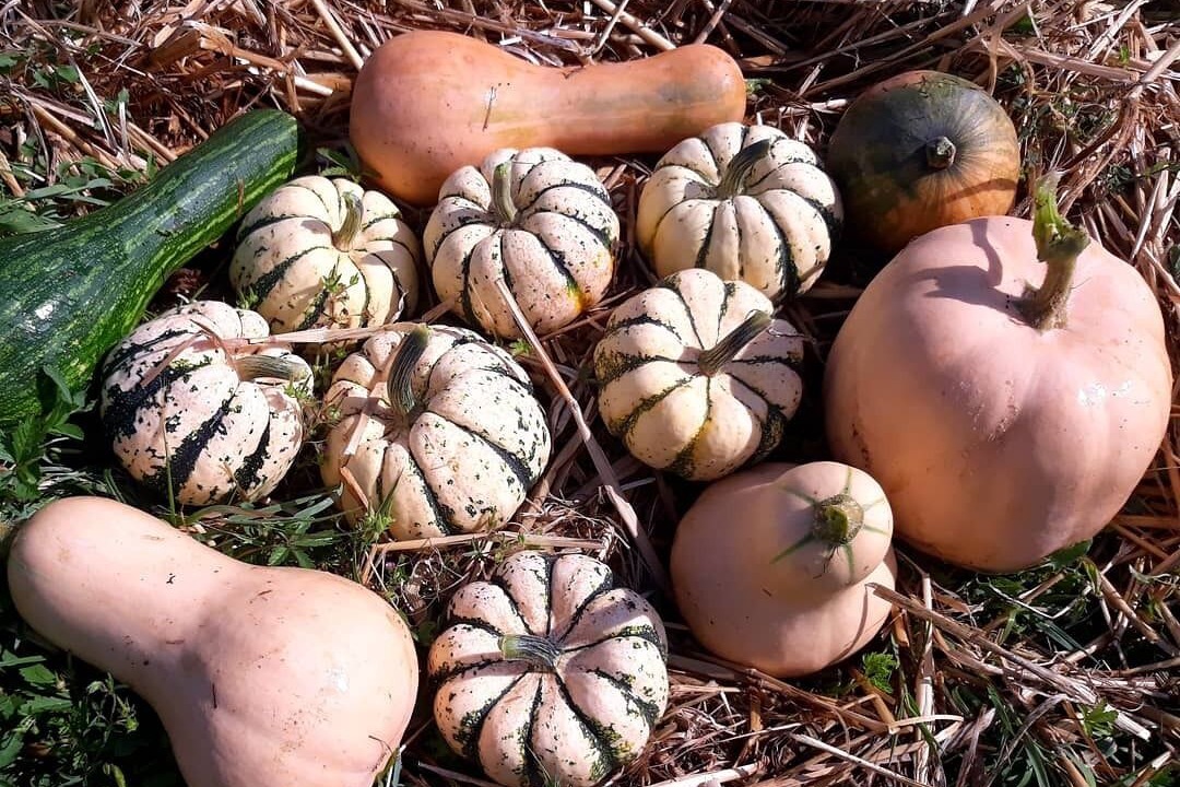 Photo of Others in La Clotte