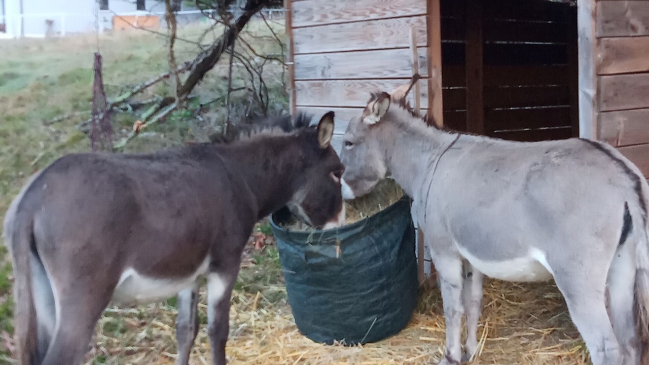 Photo of Outdoor in La Clotte